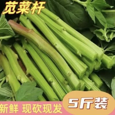 野生新鲜苋菜梗霉苋菜梗传统臭豆腐卤水汉菜原材料河南5斤