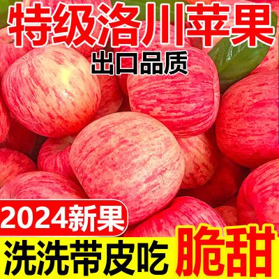 【超低价】正宗陕西洛川苹果脆甜红富士新鲜苹果水果冰糖心一整箱