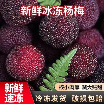 杨梅新鲜冰杨梅小袋装商用饭店专用泡酒冰杨梅儿时记忆一整箱批发