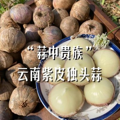 2024现挖新蒜紫皮新鲜独头蒜农家红皮独头蒜蔬菜批发价