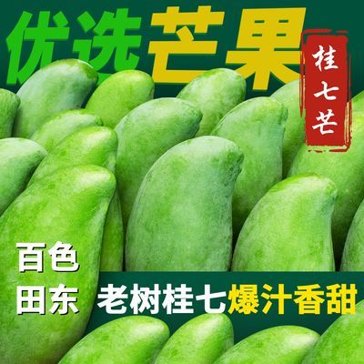 【正宗花皮桂七】广西百色田东产地直发桂七送礼佳品