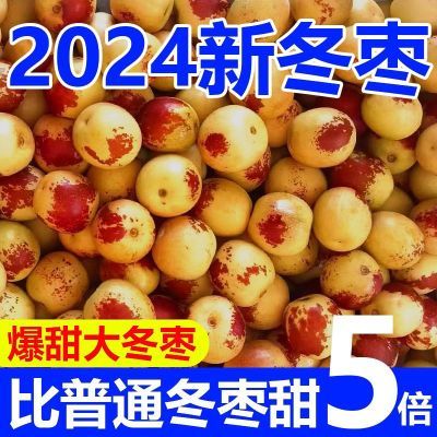 【果园现摘】陕西大荔冬枣脆甜冬枣新鲜水果鲜枣大枣脆枣包邮