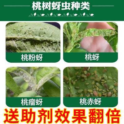 害虫一喷死万能杀虫剂百虫杀蚜虫腻虫青虫蜜虫果树蔬菜花卉杀虫剂