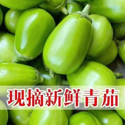 现摘东北新鲜蔬菜绿茄子农家自种无籽生吃可新鲜绿色天然产地青茄