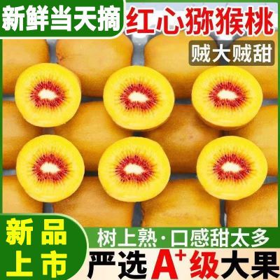 【现摘现发】正宗四川蒲江红心猕猴桃应季新鲜水果 60-120
