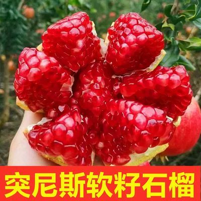 正宗四川会理突尼斯软籽红石榴应季新鲜甜水果薄皮不吐籽整箱批发