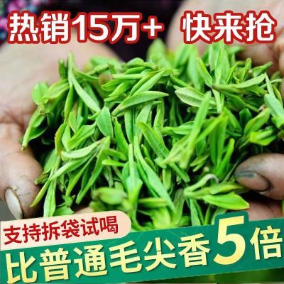 正品一斤装特级绿茶毛尖2024新茶贵州高山春茶浓香型耐泡散装