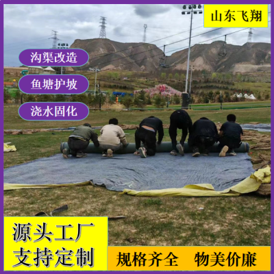 鱼塘护坡新型混凝土水泥毯沟渠改造河道防水屋顶防雨铺路加厚防晒