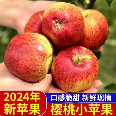 2024云南高山樱桃小苹果非红富士新鲜水果脆酸甜无冰糖心整箱批发