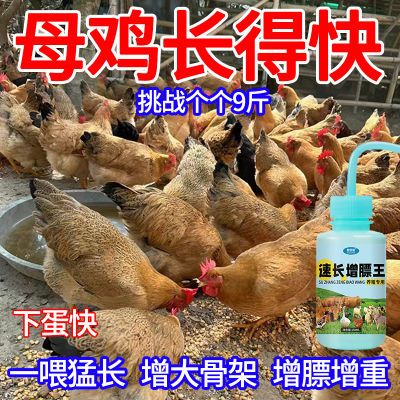 【猛吃猛长】速长增膘王鸡鸭鹅鸽子通用催肥生长素禽用催肥饲料