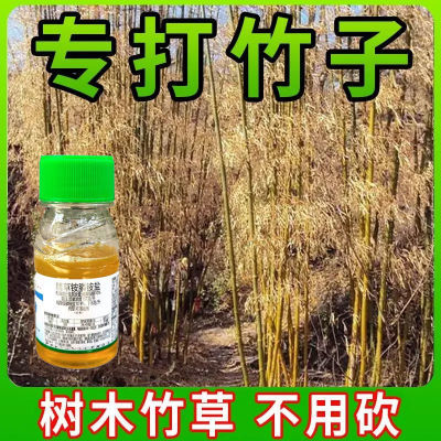 进口原料烂根剂打竹子烂竹根大竹小竹灌木杂草开荒彻底清理不返青