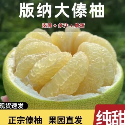 西双版纳傣柚东试早柚子青柚新鲜孕妇大果商超翡翠珍珠蜜柚白肉甜