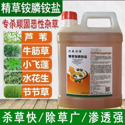 正品精草铵膦铵盐连根烂死斩草除根果园荒地强力杀恶性杂草除草剂