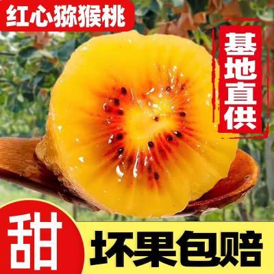 【正宗四川】蒲江红心猕猴桃奇异果整箱10粒大果新鲜水果产地直发