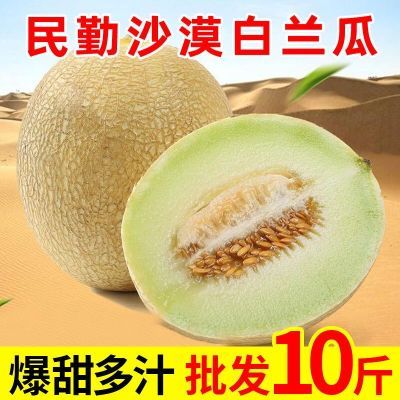 【黄河白甜瓜】甘肃白兰瓜新鲜5/10斤大果甜瓜沙漠种植哈蜜瓜水果