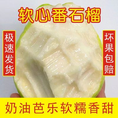 【放软吃】广西番石榴奶油芭乐软香鸡屎果白心芭乐应季新鲜水果