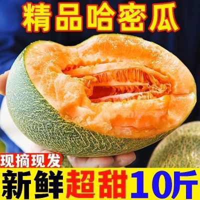 正宗新疆哈密瓜新鲜水果一箱整箱10批发当季吐鲁番甜瓜西州蜜瓜