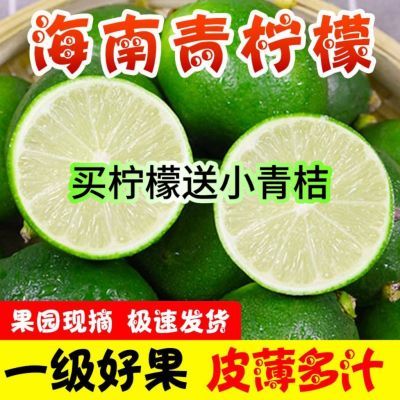 海南无籽香水柠檬新鲜正宗青柠檬专用当季大果暴打整箱批发奶茶店