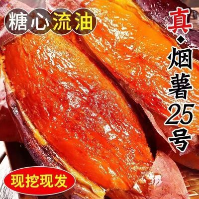 山东24年现挖新鲜烟薯25号糖心流油超甜软糯番薯烤红薯红心真蜜薯