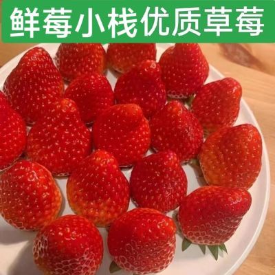 新鲜现摘现发云南草莓四季蛋糕烘焙奶茶糖葫芦水果商用批发