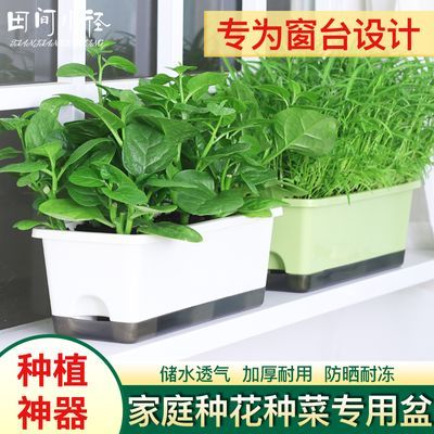 阳台菜盆家庭蔬菜专用种植箱顶楼种菜盆大号长方形草莓盆塑料花盆