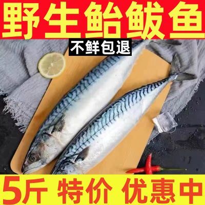 【鲜活速冻】新鲜马鲛鱼野生现捕鲐鱼青占鱼鲅鱼蒜瓣肉海水鱼