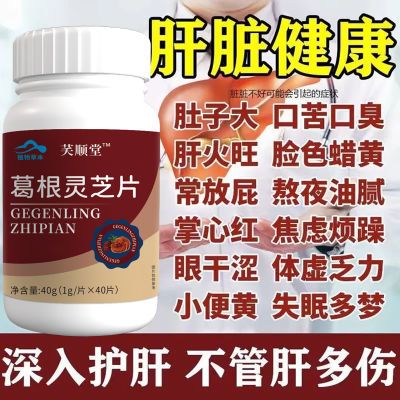 【护肝片养肝】正品葛根灵芝片口苦口臭熬夜喝酒调理药房中药材