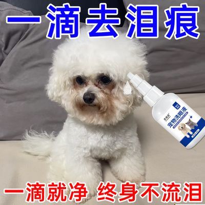 宠物滴眼液比熊犬泰迪眼药水狗眼睛角膜炎抗菌消炎泪痕神器