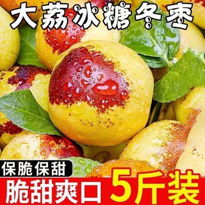 脆甜冬枣新鲜现摘大荔蜜枣青红鲜枣大理冬枣超甜应季水果奶枣批发