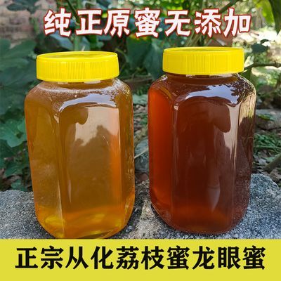 【纯正真蜂蜜】1000g荔枝蜜龙眼蜜蜂巢蜜野生天然土蜂蜜无添