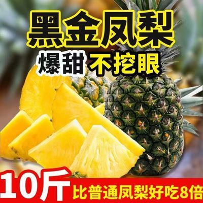 云南牛奶凤梨批发新鲜水果凤梨特大手撕无眼凤梨非菠萝大果当季