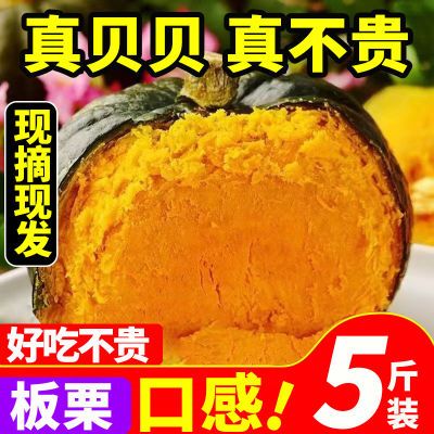 【又粉又面】正宗贝贝南瓜板栗小南瓜孕妇宝宝辅食粉糯香甜老南瓜