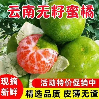 【现货】云南青皮橘子新鲜蜜桔当季薄皮桔子孕妇水果酸甜柑橘批发