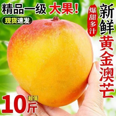 【稀有品种】黄金澳芒太阳芒果新鲜水果批发包邮大果现货一整箱