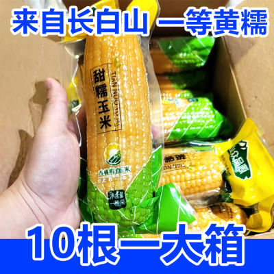 黄糯玉米【长白山众品源】东北长白山280g/根10根甜糯玉米非即食