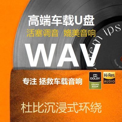 无损音质-高端调音车载u盘-粤语高音质车用dj重低音发烧人声wav