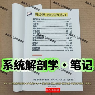 2025霍琨系统解剖学笔记 彩色双面胶装装订一本合计146面