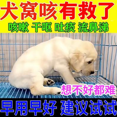 宠物狗狗咳嗽干呕干咳犬用小型幼犬大狗狗犬窝咳消炎专用正品止咳