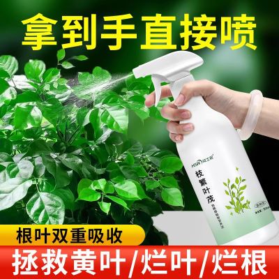 营养液植物通用型养花发财树绿植花卉绿萝叶面喷施免稀释盆栽肥料