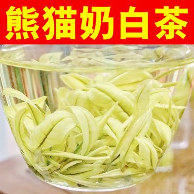 2024新茶特级【奶白茶】正宗明前熊猫奶白茶特级黄金叶黄金芽罐装