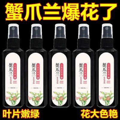 【急救软烂】蟹爪兰急救发蔫软烂去黄叶开花壮根液体肥专用营养液