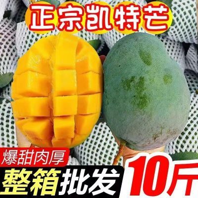 芒果凯特四川攀枝花大芒果超甜特大号新鲜水果批发10斤一整箱包