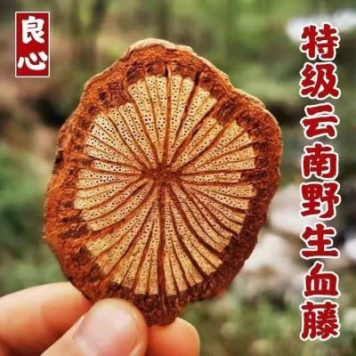 纯天然 云南野生血藤五花大血藤中药材无硫血塞通血藤红藤大血藤