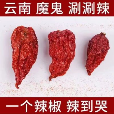 云南涮涮辣变态辣死神辣椒印度魔鬼椒商用干辣椒特辣魔鬼辣椒新鲜