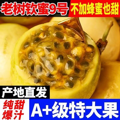 【产地批发价】正宗钦蜜9号蜂蜜黄金百香果当季新鲜黄皮大果包邮