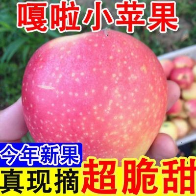【头茬新果】新鲜现摘嘎啦苹果水果应季当季美八孕妇吃的整箱批发