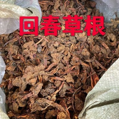 纯野生云南回春草中药材不老草男性泡酒煲汤温肾起阳草顶天柱