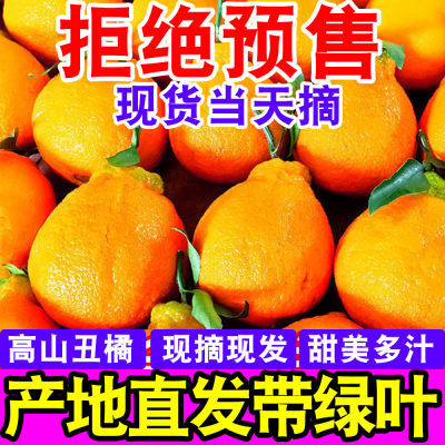 【甜蜜蜜】四川春见耙耙柑粑粑柑当季新鲜水果丑橘子超甜薄皮桔子