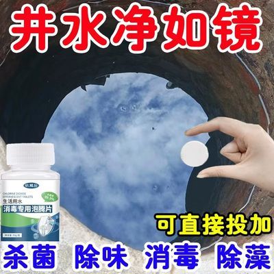 井水消毒片自来水漂白粉除藻杀虫食用饮用水净水片户外水质净化剂