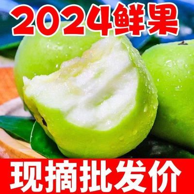 【新鲜青苹果】现摘青苹果脆甜酸小苹果批发一整箱应季时令水果